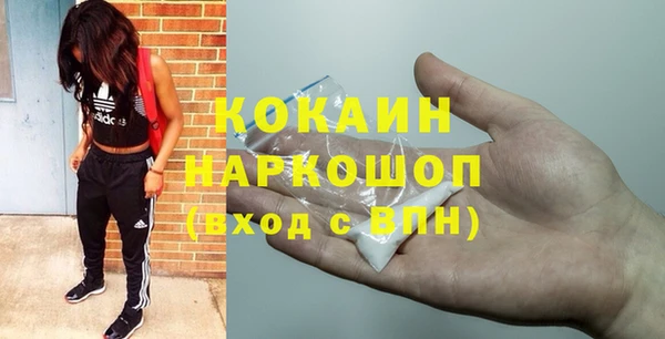 крисы Бронницы
