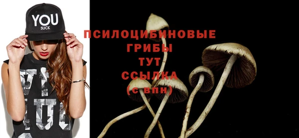кристаллы Бородино