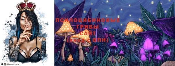 крисы Бронницы