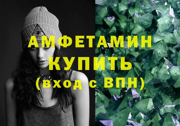 крисы Бронницы