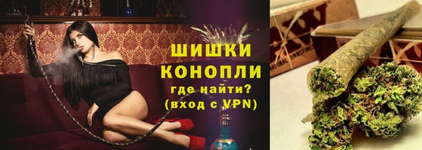 крисы Бронницы