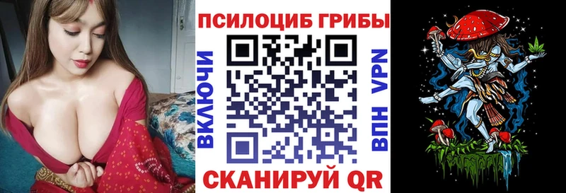 Псилоцибиновые грибы Psilocybine cubensis  Тогучин 